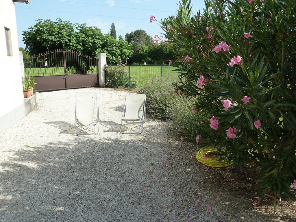 Le Mas De La Verdiere Avignon Extérieur photo